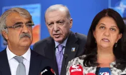 İmralı heyetinin Erdoğan ile görüşmesinden sonra alınan karar
