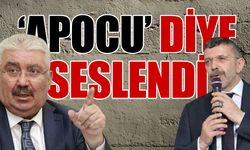 MHP ile İYİ Parti arasında kavga çıktı! 'Adam değilsin' diyerek tepki gösterdi