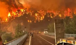 Eskişehir'deki yangında 10 orman işçisi şehit oldu