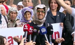 Sermaye mesaisi tam gaz: Zeytinliklere, ormanlara yasa kıyımı!