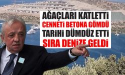 Cengiz Holding'e dur diyen yok! Milletten sonra sıra vatana geldi...