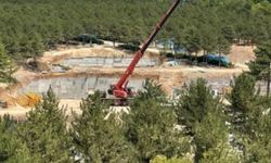 Orman müdürlüğü lojman için ormanı katletti!