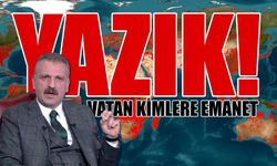 Ormanlar cayır cayır yanarken Saray'dan skandal 'harita' paylaşımı