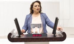 CHP'li vekil en pahalı kömürle en ucuz zeytini karşılaştırdı! Fark 190 bin 600 lira...