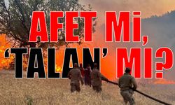 Ormanlar bilerek mi yakılıyor? "Ruhsat verecek arazi kalmadı, sıra ormanlarda!”