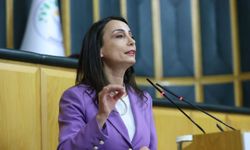 DEM Parti Eş Genel Başkanı Hatimoğulları: Muhalefet belediyelerine dönük furya acilen son bulmalıdır