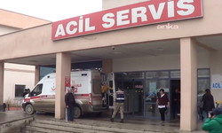 Aynı pastanenin ürününü tüketen 79 kişi zehirlendi: Çoğu çocuk...
