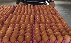 Okullar açıldı yumurtaya rekor zam yapıldı