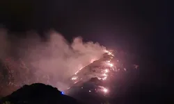 Marmara Adası'nda gece yarısı orman yangını