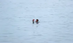 Yüze yüze İspanya'ya vardı, iltica başvurusu yaptı