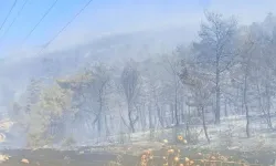 Soma yangınından bir iyi bir de kötü haber var