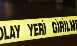 Bebeklerini bıçaklayan anne intihar etti
