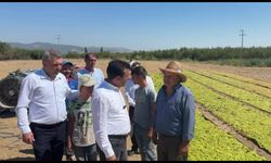 CHP Milletvekili Başevirgen, üzüm üreticilerinin sorunlarını dinledi...
