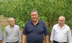CHP’li Ömer Fethi Gürer, kiraz üreticilerinin sorunlarını dile getirdi...