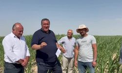 CHP'li Ömer Fethi Gürer, mısır üreticilerinin sorunlarını dile getirdi