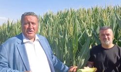 CHP'li Ömer Fethi Gürer'den EPDK'nın yeni düzenlemesine tepki!