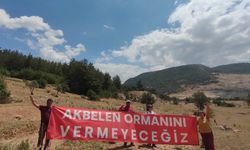 Danıştay'dan Akbelen için karar... ÇED muafiyeti yeniden incelenecek!