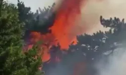 Bursa’dan sonra bir yangın haberi daha