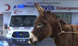 Eşeğin 800 metre sürüklediği 7 yaşındaki çocuk öldü