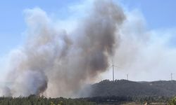 Çanakkale’de kabus yeniden başladı!