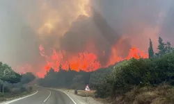 Çanakkale'de orman yangını!
