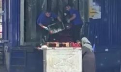 Yaşlı kadın çöpten domates topladı