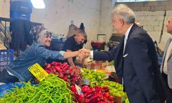 CHP heyeti sahaya indi