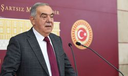 Demokrat Parti'den Ermenistan çıkışı! Sınırlar açılsın