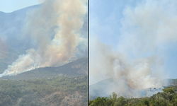 Muğla'da ormanlık alanda yangın çıktı