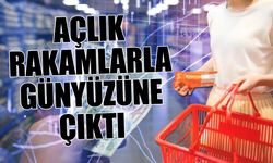 Gıda fiyatları 4 yılda 14’e katlandı