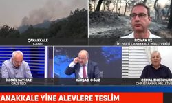 Çanakkale yangınlarındaki korkunç şüpheyi CHP Milletvekili açıkladı