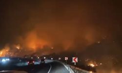 Kocaeli'de korkunç gece: Orman yangınında 3 mahalleye tahliye
