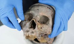 Bilim insanları yeni bir insan türü keşfetti! DNA'sı çözüldü