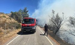 İzmir Seferihisar'da yangın! havadan ve karadan müdahale sürüyor...