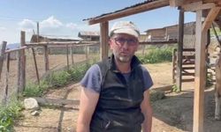 Kars ve Ardahan’da başladı ve Artvin'e de sıçradı: Hastalık kontrolden çıktı