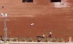 Kars barınağında köpeklere işkence!