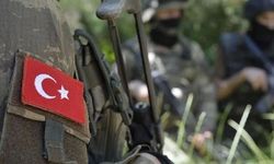 12 askerin şehit olduğu mağaradan köpek nasıl sağ çıktı?