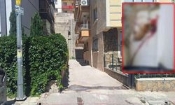 Polis, sokak köpeğini tabancasıyla katletti!