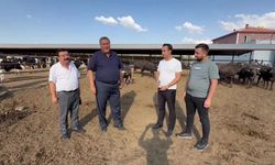 Ömer Fethi Gürer, hayvancılığın karşı karşıya olduğu krize dikkat çekti!