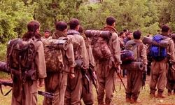 Silah bırakan PKK'lı teröristler affedilecek iddiası