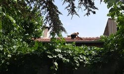 Kayseri'de evin çatısına roket düştü!