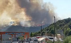 Suriye'de başladı, Hatay'a sıçradı!
