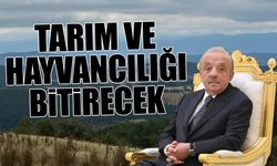 Mehmet Cengiz yerin hem altını hem üstünü... Bir kent susuz kalacak