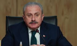 AKP’li Mustafa Şentop’tan ‘sahte diploma’ açıklaması