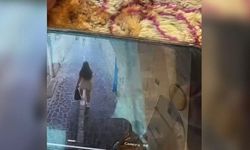 Fenomen Mika Raun taciz videosunu paylaştı: Elim ayağım titriyor!