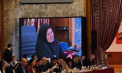 Şehit aileleri ve gaziler komisyonda söz aldı: Cumhurbaşkanı mektup da gönderse...