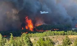 Orman yangınlarının devam ettiği Çanakkale ve Edirne için Meteoroloji'den yeni uyarı!