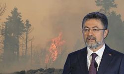 Bakan Yumaklı'dan orman yangınlarıyla ilgili açıklama