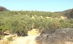 Alevler her yeri sardı, orası hiç etkilenmedi!