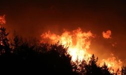 Mersin ve Hatay'da yangınla mücadele devam ediyor! Binlerce kişi tahliye edildi…